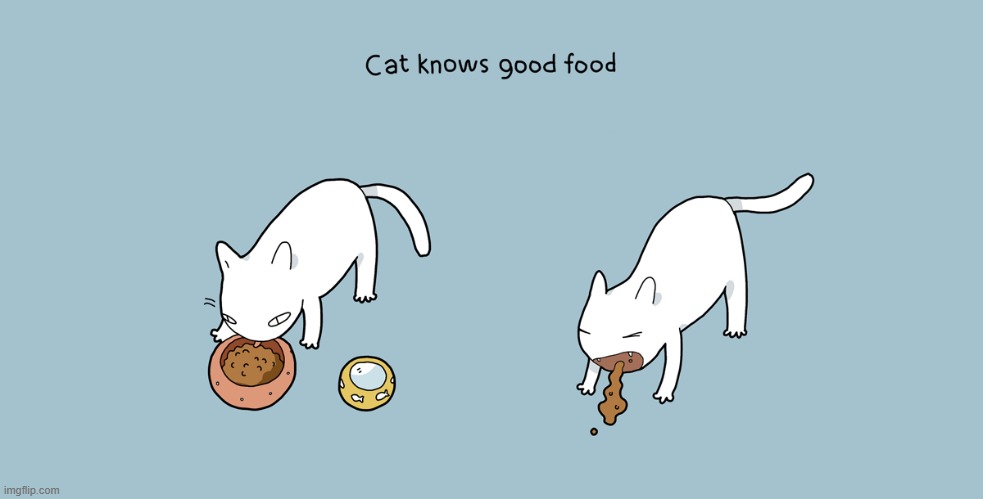A Cat's Way Of Thinking | image tagged in memes,comics,cats,know,good,cat food | made w/ Imgflip meme maker