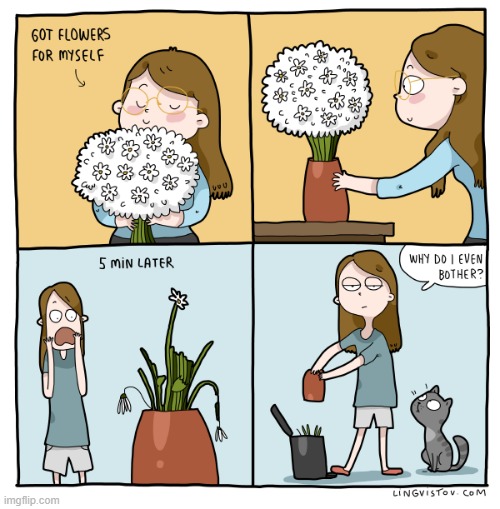 A Cat Lady's Way Of Thinking | image tagged in memes,comics,cat lady,flowers,cats,eat | made w/ Imgflip meme maker