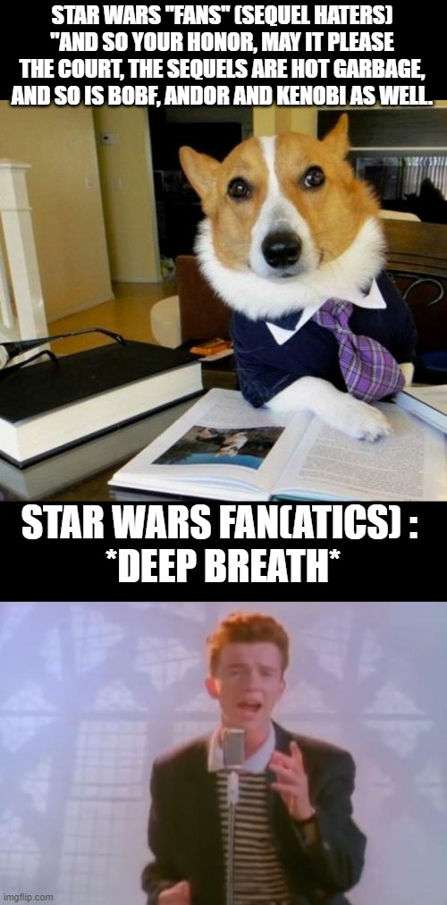Fandom Menace vs Fanatics | STAR WARS "FANS" (SEQUEL HATERS)
"AND SO YOUR HONOR, MAY IT PLEASE THE COURT, THE SEQUELS ARE HOT GARBAGE, AND SO IS BOBF, ANDOR AND KENOBI AS WELL. STAR WARS FAN(ATICS) : 
*DEEP BREATH* | image tagged in lawyer dog,rick astley,fans vs fans,sequel trilogy,star wars,rey | made w/ Imgflip meme maker
