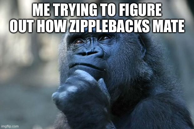 Zipplebacks | ME TRYING TO FIGURE OUT HOW ZIPPLEBACKS MATE | image tagged in deep thoughts,how to train your dragon,httyd,dragons | made w/ Imgflip meme maker