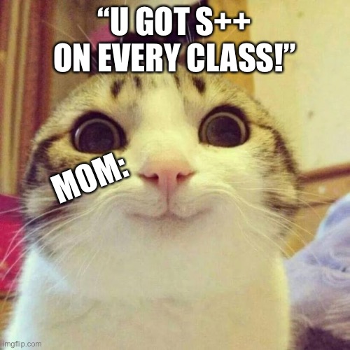 POV: When manager says this: | “U GOT S++ ON EVERY CLASS!”; MOM: | image tagged in memes,smiling cat | made w/ Imgflip meme maker