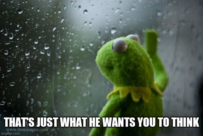 kermit window | THAT'S JUST WHAT HE WANTS YOU TO THINK | image tagged in kermit window | made w/ Imgflip meme maker