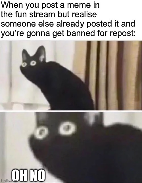 I feel like this could happen to me | When you post a meme in the fun stream but realise someone else already posted it and you’re gonna get banned for repost:; OH NO | image tagged in oh no black cat,repost,memes,oh no | made w/ Imgflip meme maker