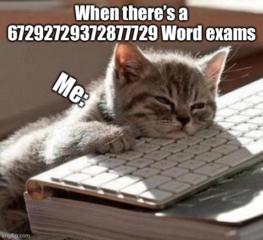 A cat tired of typing | When there’s a 67292729372877729 Word exams; Me: | image tagged in tired cat | made w/ Imgflip meme maker