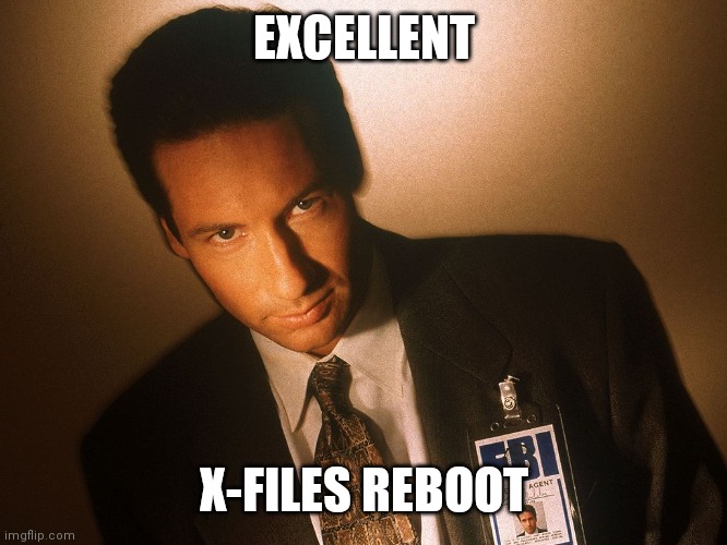 fox mulder  | EXCELLENT X-FILES REBOOT | image tagged in fox mulder | made w/ Imgflip meme maker
