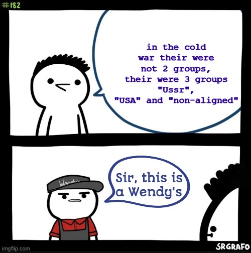 iqcjwaklv,nfguoiqfk.,ngu4ifopr ,mj4 | in the cold war their were not 2 groups, their were 3 groups
"Ussr", "USA" and "non-aligned" | image tagged in sir this is a wendy's | made w/ Imgflip meme maker