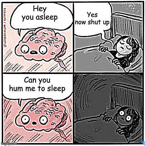 We both need sleep | Yes now shut up; Hey you asleep; Can you hum me to sleep | image tagged in brain before sleep | made w/ Imgflip meme maker