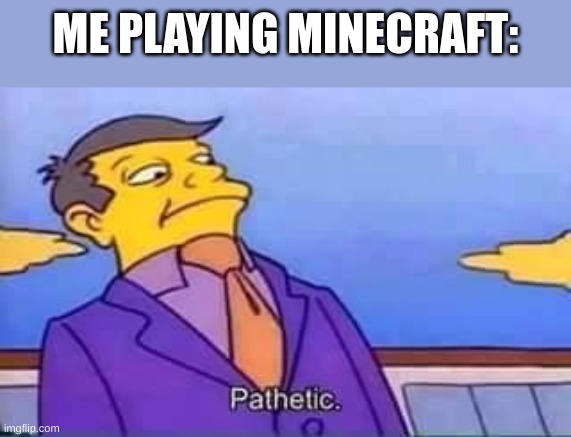 skinner pathetic | ME PLAYING MINECRAFT: | image tagged in skinner pathetic | made w/ Imgflip meme maker