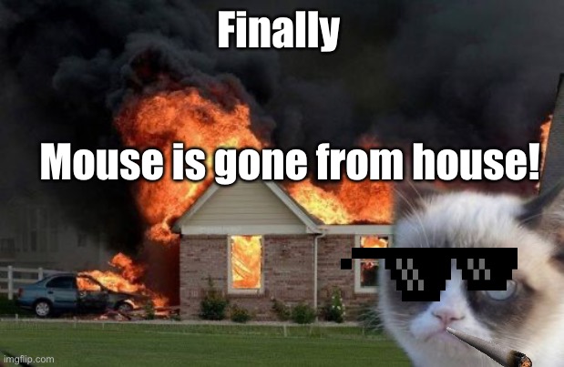 Mouse is gone! | Finally; Mouse is gone from house! | image tagged in memes,burn kitty,grumpy cat,rip floppa | made w/ Imgflip meme maker