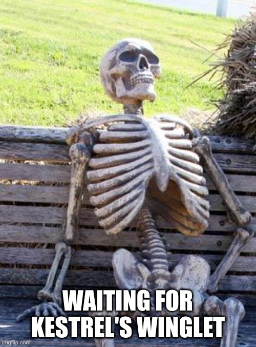 Waiting Skeleton Meme | WAITING FOR KESTREL'S WINGLET | image tagged in memes,waiting skeleton | made w/ Imgflip meme maker