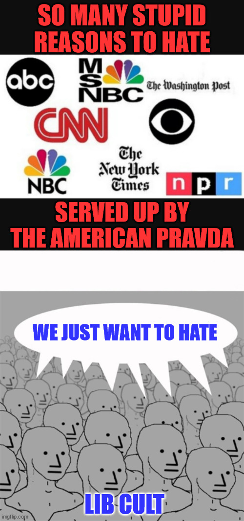 So many stupid reasons to hate thanks to the media promoting propaganda... | SO MANY STUPID REASONS TO HATE; SERVED UP BY THE AMERICAN PRAVDA; WE JUST WANT TO HATE; LIB CULT | image tagged in media lies,npcprogramscreed | made w/ Imgflip meme maker