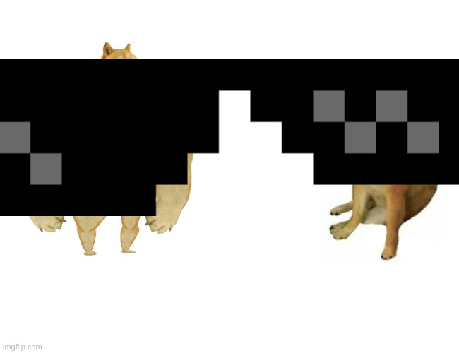 Buff Doge vs. Cheems | image tagged in memes,buff doge vs cheems | made w/ Imgflip meme maker