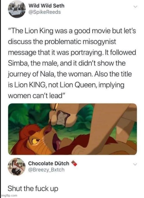 Anything is misogynistic if you look hard enough... apparently | image tagged in lion king,twitter,feminism | made w/ Imgflip meme maker