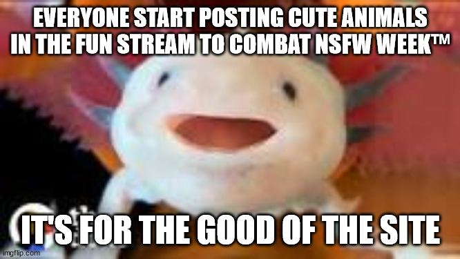 EVERYONE START POSTING CUTE ANIMALS IN THE FUN STREAM TO COMBAT NSFW WEEK™; IT'S FOR THE GOOD OF THE SITE | made w/ Imgflip meme maker