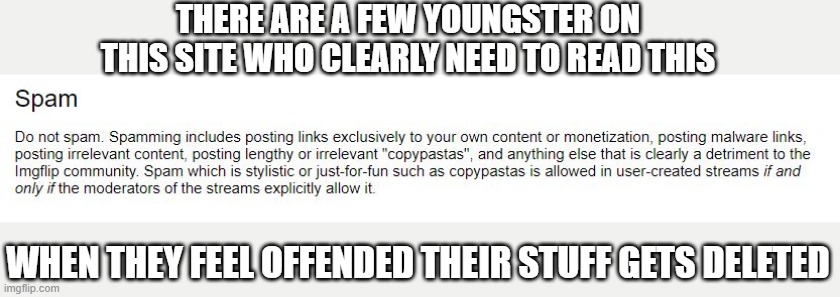 Terms and Rules Need to Be More Visible | THERE ARE A FEW YOUNGSTER ON THIS SITE WHO CLEARLY NEED TO READ THIS; WHEN THEY FEEL OFFENDED THEIR STUFF GETS DELETED | image tagged in imgflip | made w/ Imgflip meme maker