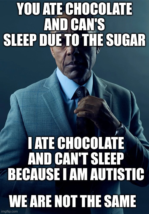 i could not think of a good title so this is it | YOU ATE CHOCOLATE AND CAN'S SLEEP DUE TO THE SUGAR; I ATE CHOCOLATE AND CAN'T SLEEP BECAUSE I AM AUTISTIC; WE ARE NOT THE SAME | image tagged in we are not the same | made w/ Imgflip meme maker
