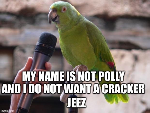 No cracker | MY NAME IS NOT POLLY AND I DO NOT WANT A CRACKER; JEEZ | image tagged in parrot | made w/ Imgflip meme maker