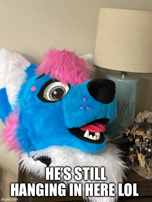 HE’S STILL HANGING IN HERE LOL | image tagged in memes,furry,fursuit | made w/ Imgflip meme maker
