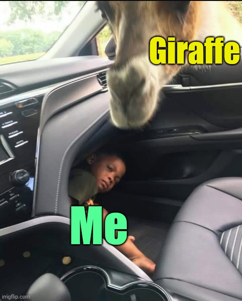 . | Giraffe; Me | made w/ Imgflip meme maker