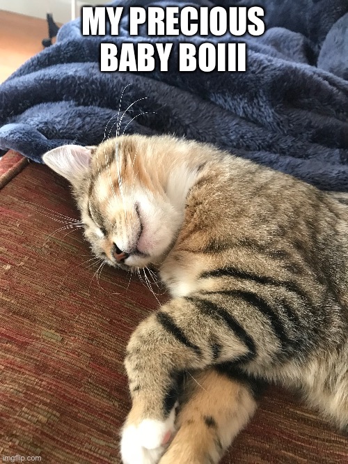 smal | MY PRECIOUS BABY BOIII | made w/ Imgflip meme maker