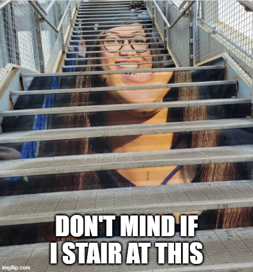 A Picture is Worth No Words | DON'T MIND IF I STAIR AT THIS | image tagged in you had one job | made w/ Imgflip meme maker