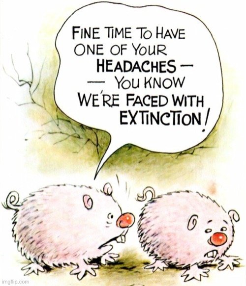 So you have a headache | image tagged in fine time,one of your headaches,facing extinction,comics | made w/ Imgflip meme maker