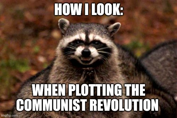 Evil plotting communist revolutionary raccoon | HOW I LOOK:; WHEN PLOTTING THE COMMUNIST REVOLUTION | image tagged in memes,evil plotting raccoon | made w/ Imgflip meme maker