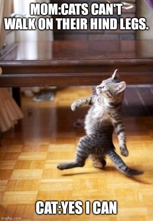 Cool Cat Stroll |  MOM:CATS CAN'T WALK ON THEIR HIND LEGS. CAT:YES I CAN | image tagged in memes,cool cat stroll | made w/ Imgflip meme maker