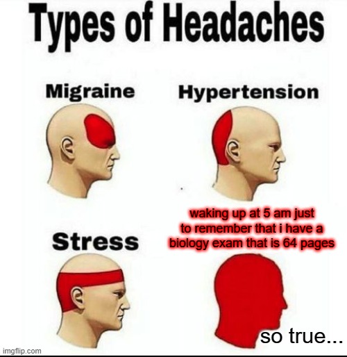 this is T R U E | waking up at 5 am just to remember that i have a biology exam that is 64 pages; so true... | image tagged in types of headaches meme | made w/ Imgflip meme maker