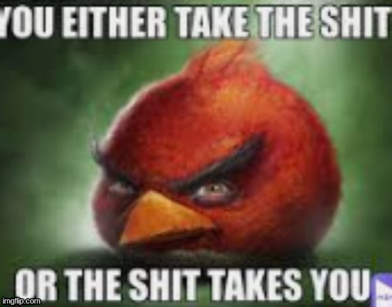 You either take the shit or the shit takes you | image tagged in you either take the sh t or the sh t takes you | made w/ Imgflip meme maker
