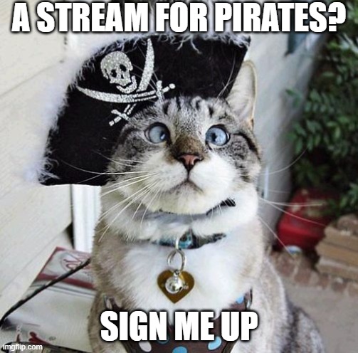 even the cat likes it | A STREAM FOR PIRATES? SIGN ME UP | image tagged in memes,spangles,pirates | made w/ Imgflip meme maker