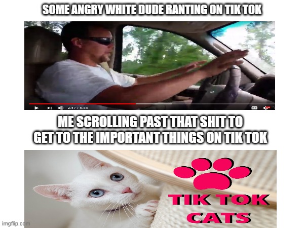 Cats Rule Tik Tok | SOME ANGRY WHITE DUDE RANTING ON TIK TOK; ME SCROLLING PAST THAT SHIT TO GET TO THE IMPORTANT THINGS ON TIK TOK | image tagged in angry white man rants,cats,tik tok | made w/ Imgflip meme maker