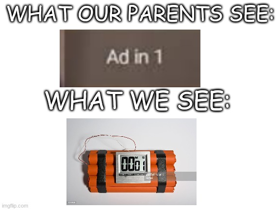 Yall have Youtube Premium? | WHAT OUR PARENTS SEE:; WHAT WE SEE: | image tagged in blank white template | made w/ Imgflip meme maker