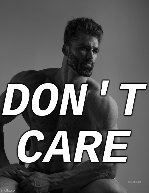 Giga Chad | DON'T CARE | image tagged in giga chad | made w/ Imgflip meme maker
