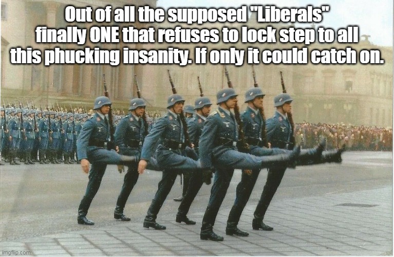 Out of all the supposed "Liberals" finally ONE that refuses to lock step to all this phucking insanity. If only it could catch on. | made w/ Imgflip meme maker