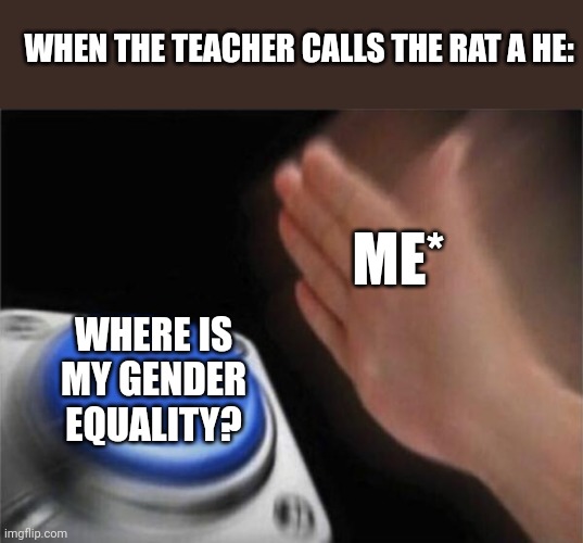 Blank Nut Button | WHEN THE TEACHER CALLS THE RAT A HE:; ME*; WHERE IS MY GENDER EQUALITY? | image tagged in memes,blank nut button | made w/ Imgflip meme maker