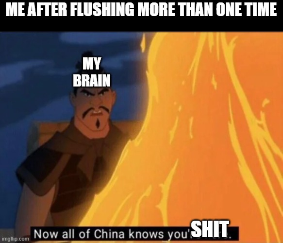 Now all of China knows you're here | ME AFTER FLUSHING MORE THAN ONE TIME; MY BRAIN; SHIT | image tagged in now all of china knows you're here | made w/ Imgflip meme maker