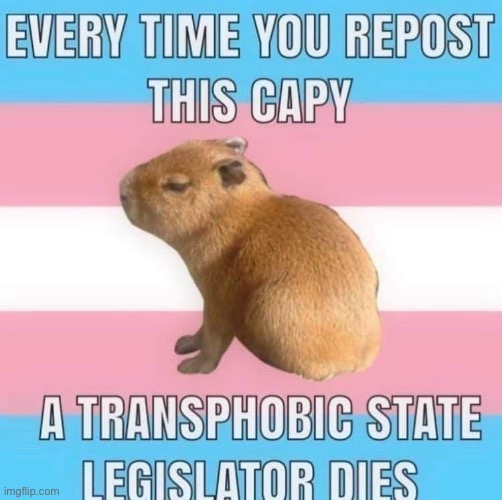 repost him. | image tagged in transphobic,transgender,capybara | made w/ Imgflip meme maker