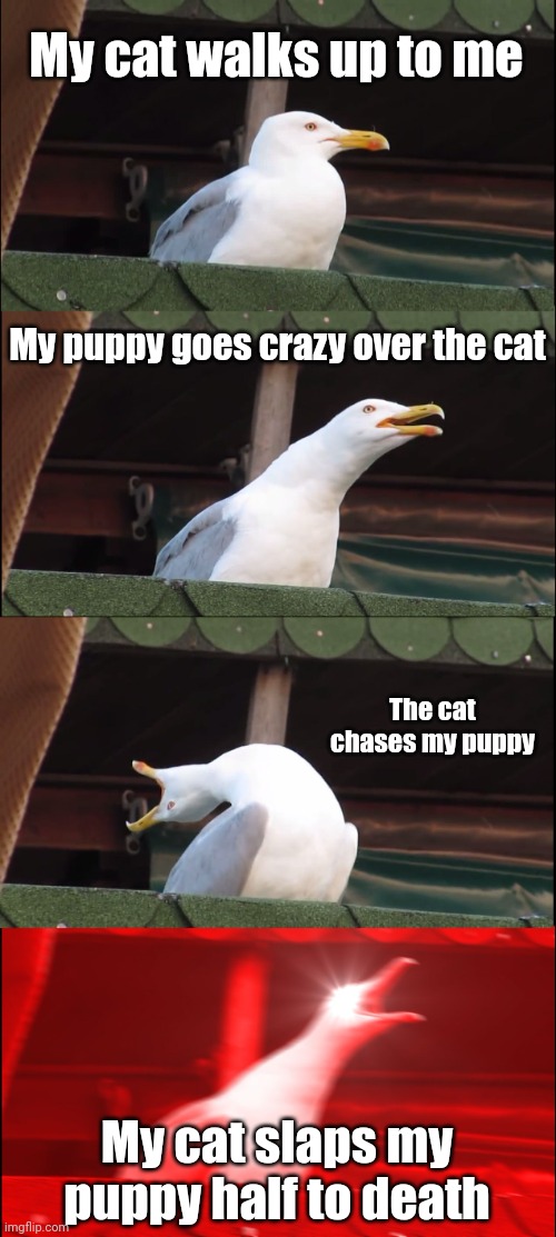 Inhaling Seagull Meme | My cat walks up to me; My puppy goes crazy over the cat; The cat chases my puppy; My cat slaps my puppy half to death | image tagged in memes,inhaling seagull | made w/ Imgflip meme maker