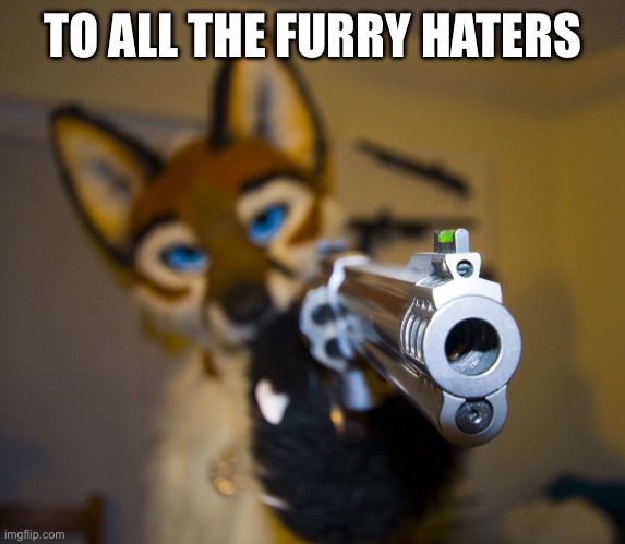 Furry with gun | TO ALL THE FURRY HATERS | image tagged in furry with gun | made w/ Imgflip meme maker