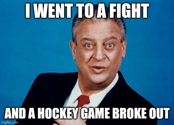 Fight | I WENT TO A FIGHT; AND A HOCKEY GAME BROKE OUT | image tagged in rodney | made w/ Imgflip meme maker
