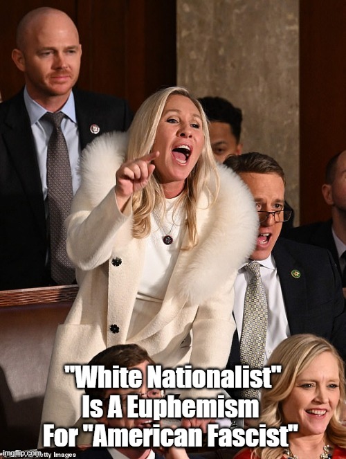 "White Nationalist" Is A Eufemism For "American Fascist" | "White Nationalist" Is A Euphemism 
For "American Fascist" | image tagged in mtg,marjorie taylor greene,fascism,american fascism | made w/ Imgflip meme maker