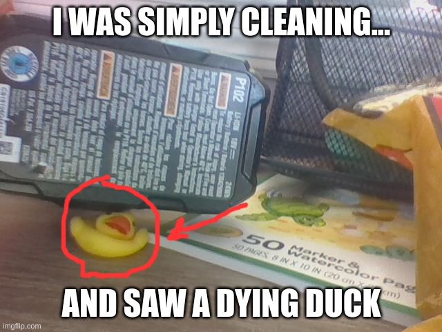 meanwhile in the peirce fam living room... | I WAS SIMPLY CLEANING... AND SAW A DYING DUCK | image tagged in rubber ducks | made w/ Imgflip meme maker