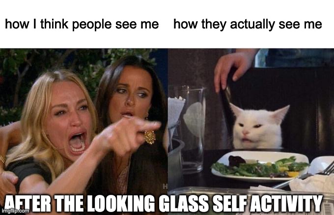 Woman Yelling At Cat | how I think people see me; how they actually see me; AFTER THE LOOKING GLASS SELF ACTIVITY | image tagged in memes,woman yelling at cat | made w/ Imgflip meme maker