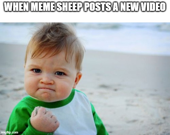 i know i am not the only one | WHEN MEME SHEEP POSTS A NEW VIDEO | image tagged in memes,success kid original | made w/ Imgflip meme maker