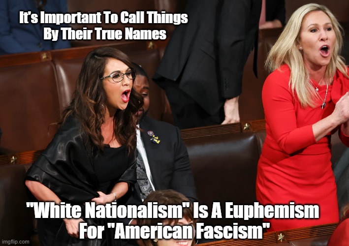 Boebert and Marjorie Taylor Green: "It Is Important To Call Things By Their True Names" | It's Important To Call Things 
By Their True Names; "White Nationalism" Is A Euphemism 
For "American Fascism" | image tagged in boebert,marjorie taylor greene,white nationalism,fascism,euphemism,lunatic gop | made w/ Imgflip meme maker