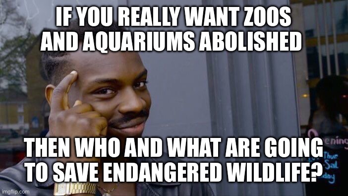 Anti-Zoo people didn’t think this through | IF YOU REALLY WANT ZOOS AND AQUARIUMS ABOLISHED; THEN WHO AND WHAT ARE GOING TO SAVE ENDANGERED WILDLIFE? | image tagged in memes,roll safe think about it | made w/ Imgflip meme maker