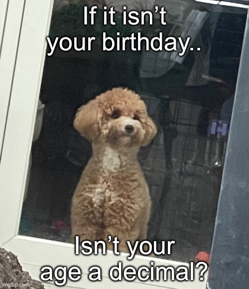 Uhm | If it isn’t your birthday.. Isn’t your age a decimal? | image tagged in glaring latte | made w/ Imgflip meme maker