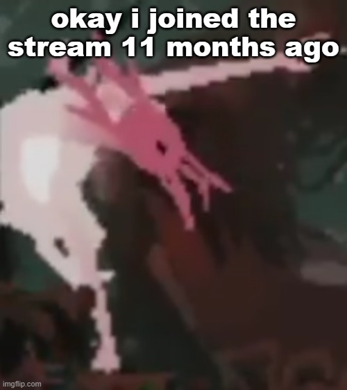the pointer | okay i joined the stream 11 months ago | image tagged in the pointer | made w/ Imgflip meme maker