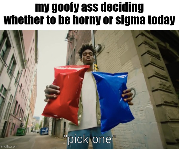 Pick one | my goofy ass deciding whether to be horny or sigma today | image tagged in pick one | made w/ Imgflip meme maker